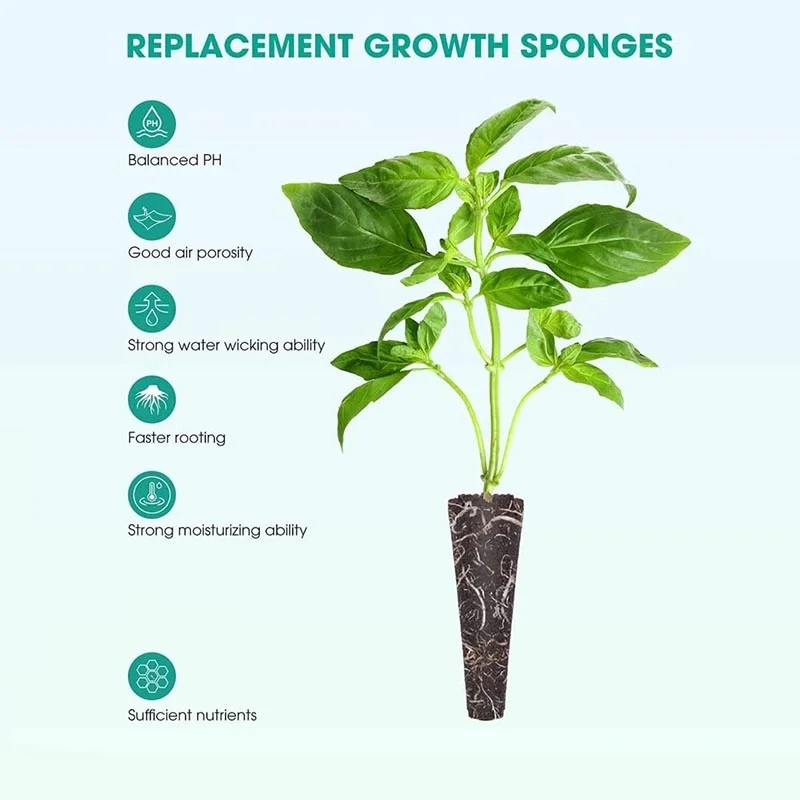 100Pcs Seed Grow Sponges Repla - Net Pot 3 Inch review and price