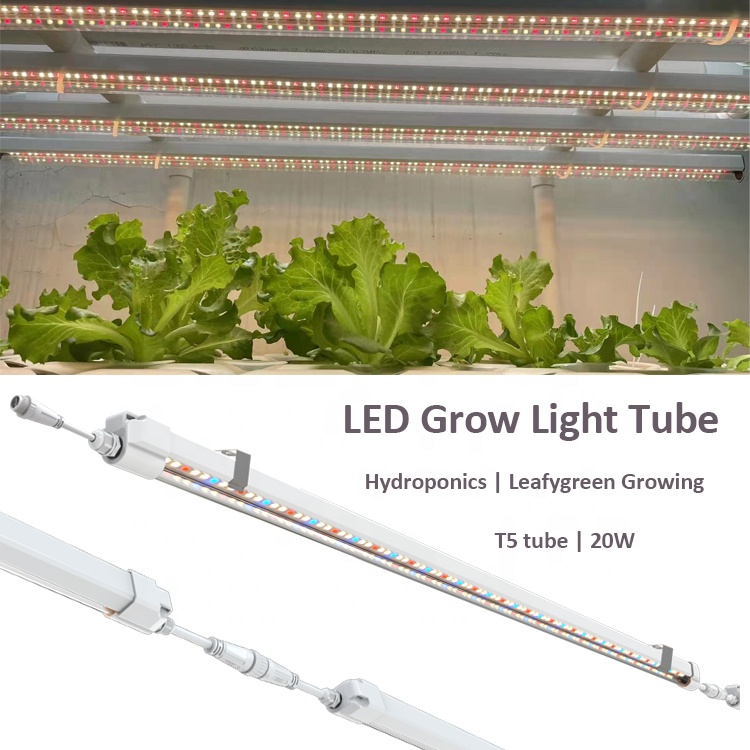 T5 Grow Lights 4ft Hydroponics - Grow Light T5 review and price