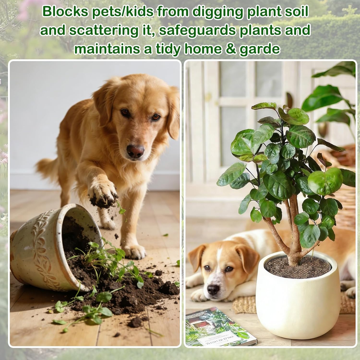 3- or 5-Pack Cat-Proof Plant P - Net Pot 3 Inch review and price