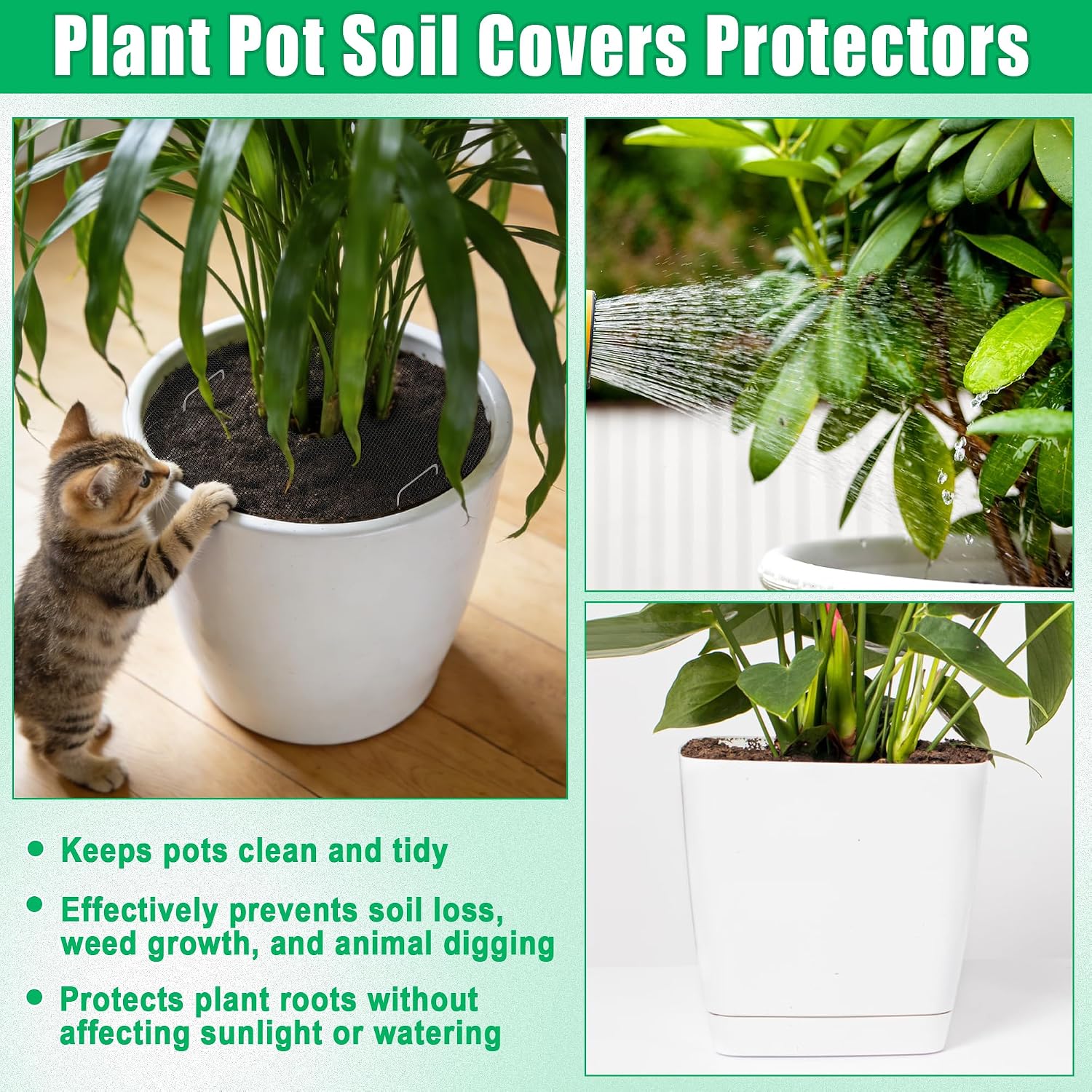 3- or 5-Pack Cat-Proof Plant P - Net Pot 3 Inch review and price