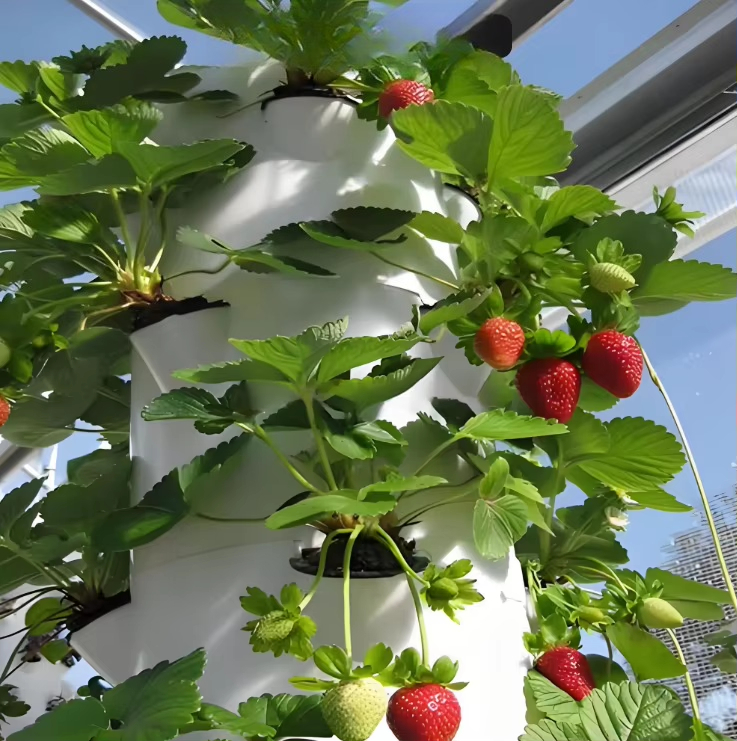Modular hydroponic growth wall - Urban Farming Wall review and price