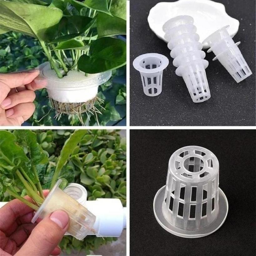 5 Pcs Plastic Plastic Porous M - Net Pot 3 Inch review and price