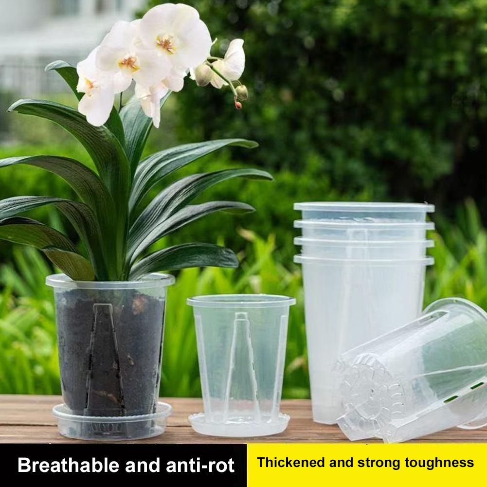 1PCS Orchid Pots with Stomata  - Net Pot 3 Inch review and price