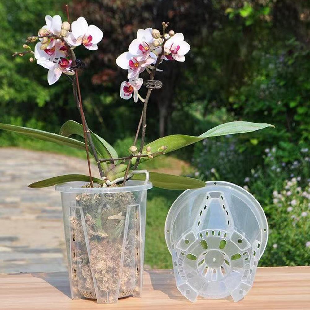1PCS Orchid Pots with Stomata  - Net Pot 3 Inch review and price