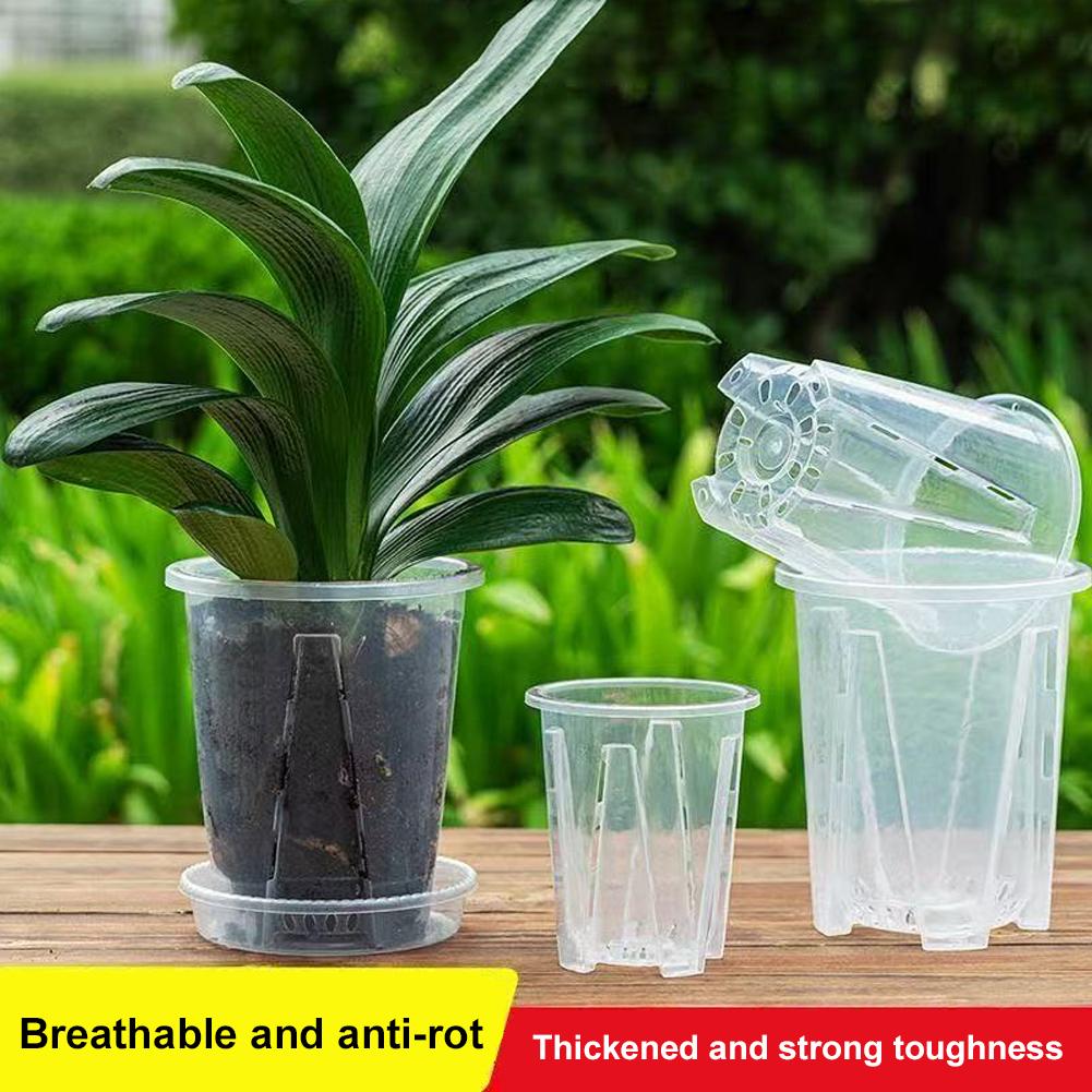 1PCS Orchid Pots with Stomata  - Net Pot 3 Inch review and price